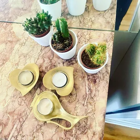 Electra Mini-studio Διαμέρισμα