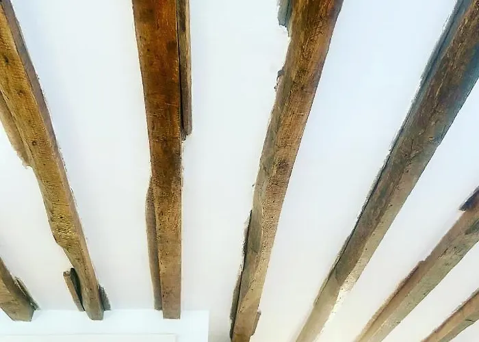 Daire Electra Mini-studio