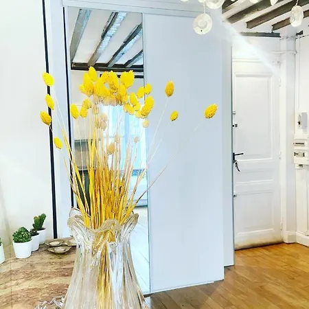 Electra Mini-studio Apartman Párizs